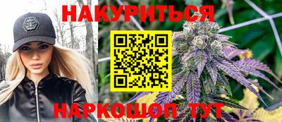 Альфа ПВП Бердск