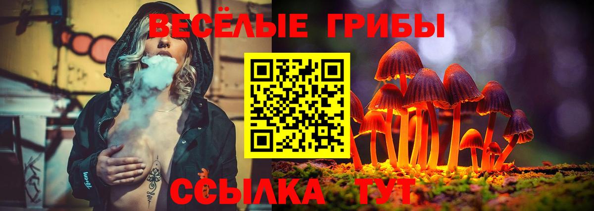 наркотики  Галлюциногенные грибы Magic Shrooms  Вход с VPN  Псилоцибиновые грибы мухоморы  Ртищево 